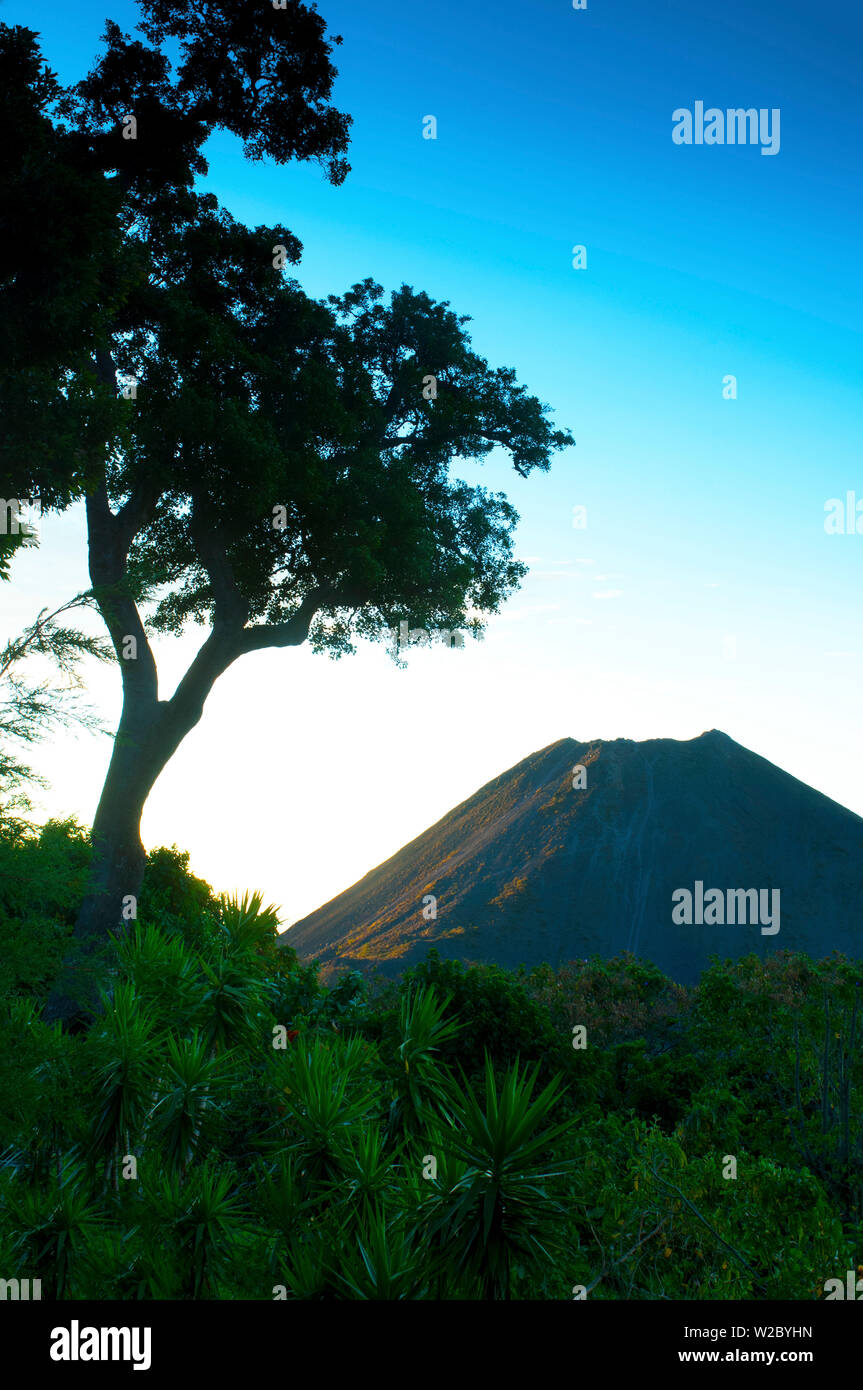 El Salvador, le Cerro Verde National Park, parc national du volcan, volcan Izalco, une fois appelé le "Phare du Pacifique", département de Santa Ana Banque D'Images