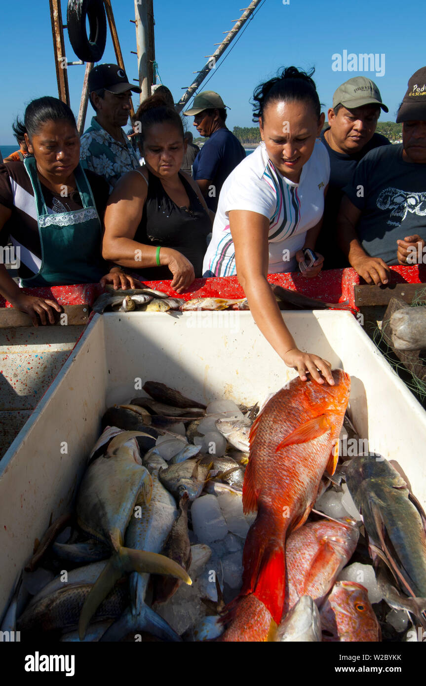 La Libertad, El Salvador, les acheteurs de poisson, le vivaneau, bateau de pêche, le marché aux poissons, le Pier, l'océan Pacifique, Puerto de La Libertad, Port de liberté, département de La Libertad Banque D'Images