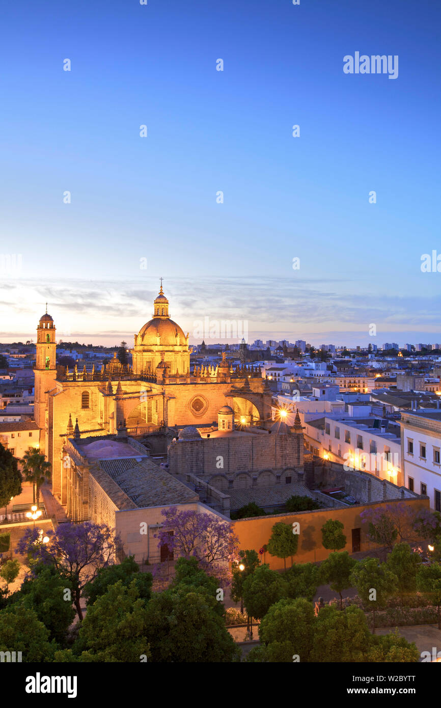 La Cathédrale de San Salvador la nuit, Jerez de la Frontera, province de Cadiz, Andalousie, Espagne Banque D'Images