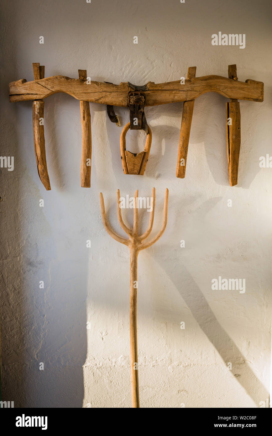 Espagne, Canaries, Lanzarote, La Geria région viticole, San Bartolome, vieux boeufs joug et fourche en bois Banque D'Images