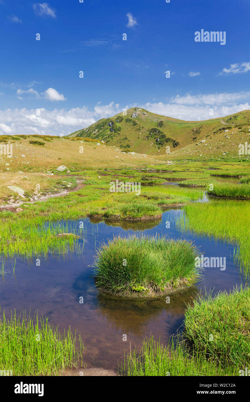 Vallée des sept lacs, montagnes du Caucase, de l'Abkhazie, Géorgie Banque D'Images