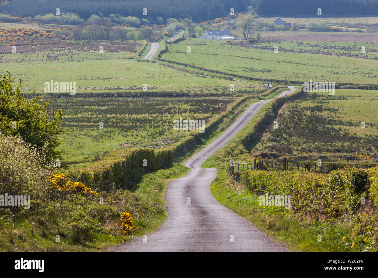 L'Irlande, comté de Donegal, Burt, country road Banque D'Images