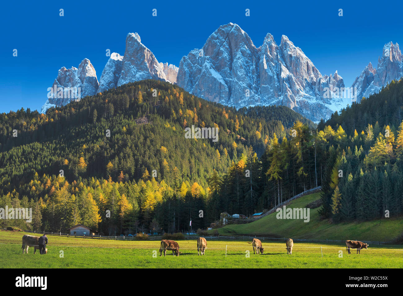 L'Italie, Trentin-Haut-Adige, région du Tyrol du Sud, Val di Funes et Santa Magdalena ville avec Dolomites Puez Odle Puez Geisler (Groupe) dans l'arrière-plan Banque D'Images