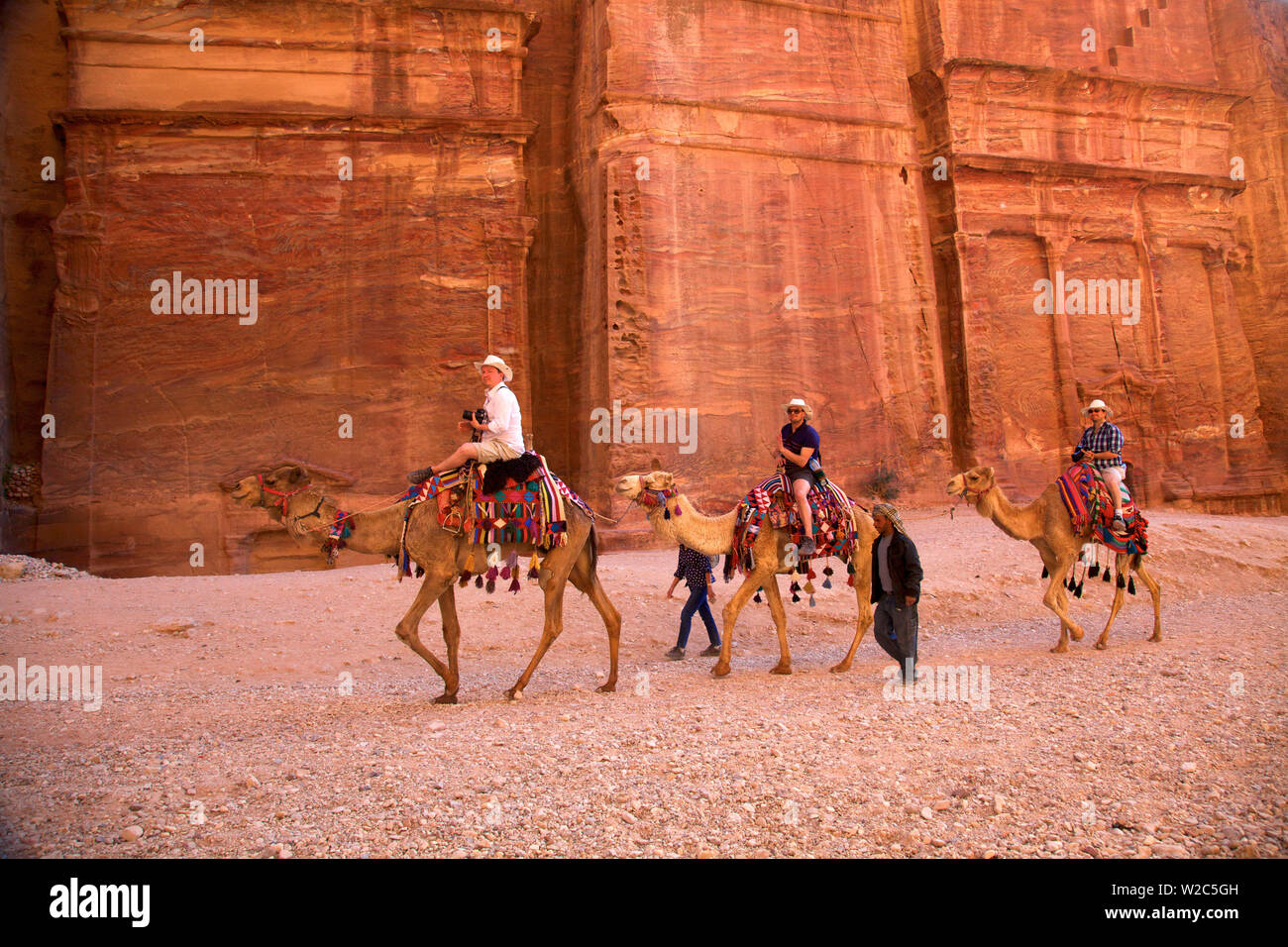 Les chameaux en face de l'espace extra-Siq, Petra, Jordanie, Moyen-Orient Banque D'Images