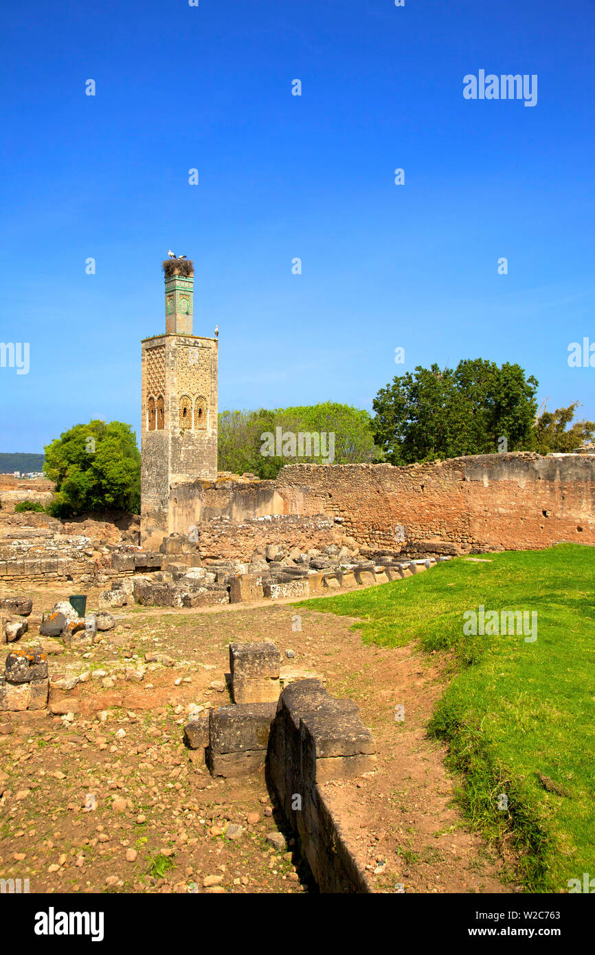 Les ruines de Chellah avec Minaret, Rabat, Maroc, Afrique du Nord Banque D'Images