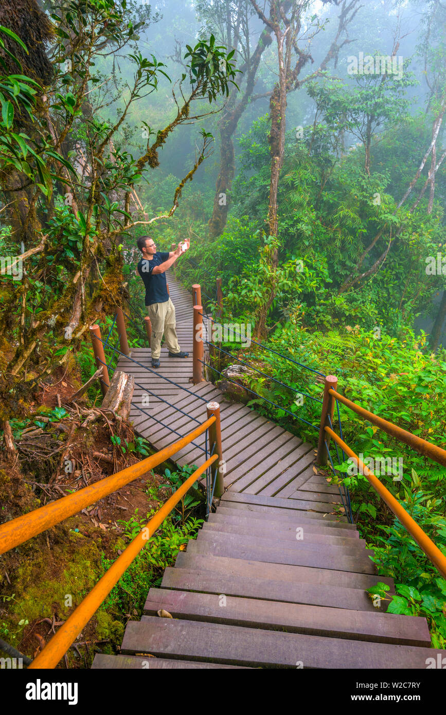 Pahang Perak, Malaisie, Cameron Highlands, à la frontière de la forêt moussue (Jabatan Perhutanan), touristique (MR) Banque D'Images