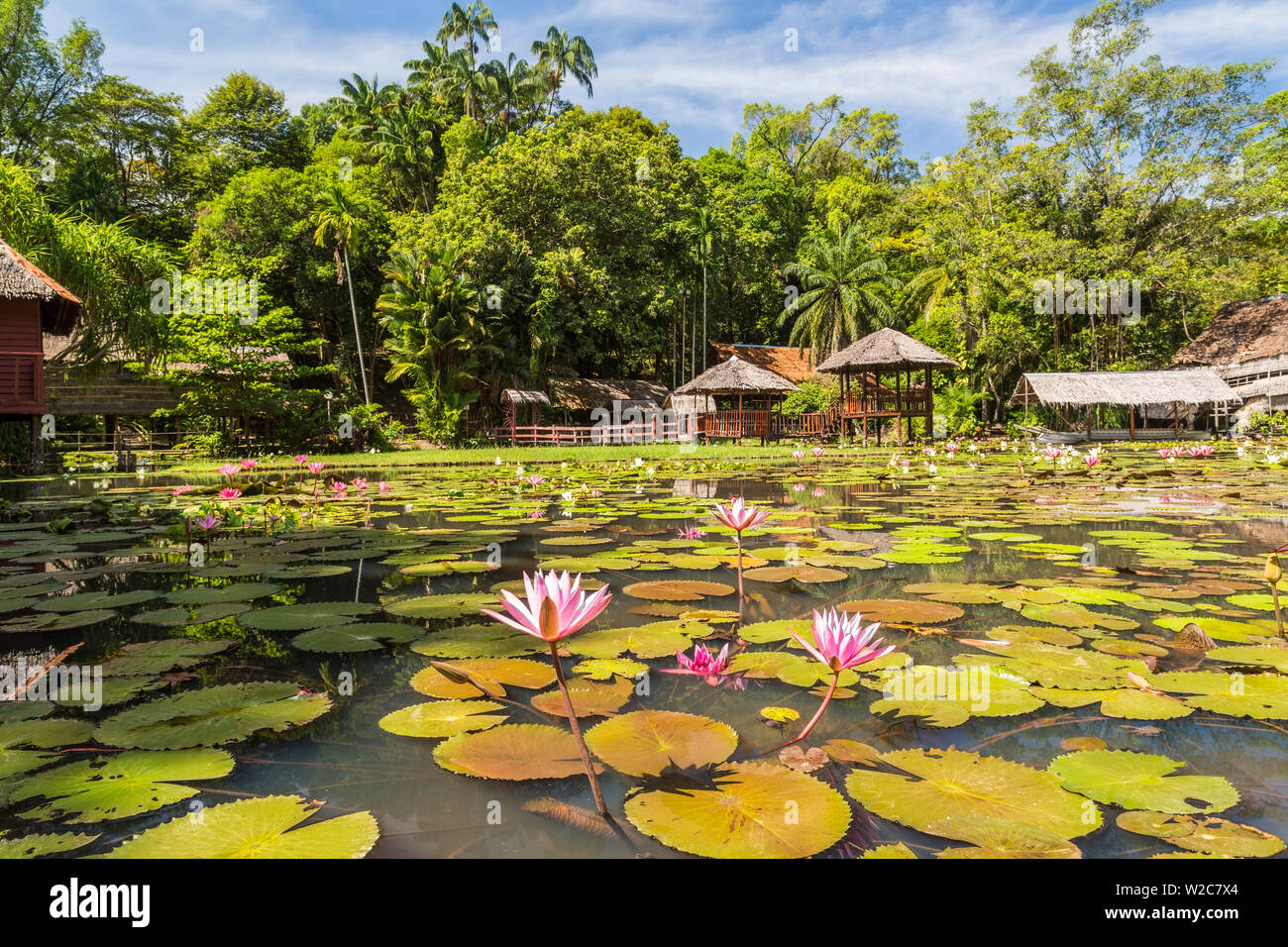 Village culturel du patrimoine et de l'eau lillies, Sabah State Museum, Kota Kinabalu, Sabah, Bornéo, Malaisie Banque D'Images