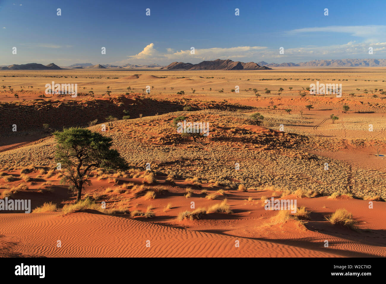 La Namibie, le Parc National Namib Naukluft Banque D'Images