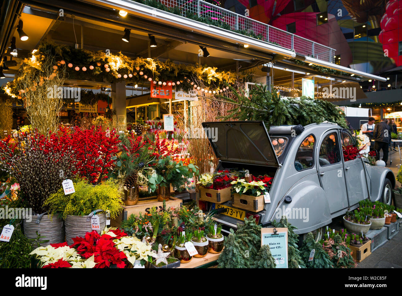 Pays-bas, Rotterdam, Markthal foodhall, fleurs de Noël Banque D'Images