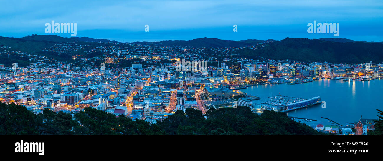 Des vue sur Wellington central allumé au crépuscule, Wellington, Île du Nord, Nouvelle-Zélande Banque D'Images