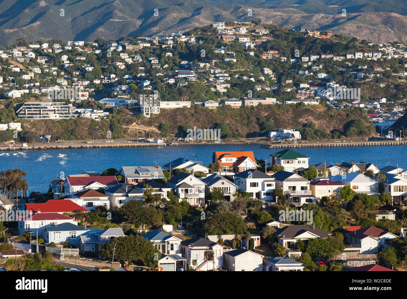 Nouvelle Zélande, île du Nord, Wellington, elevated view de banlieue de Mt. Victoria Banque D'Images