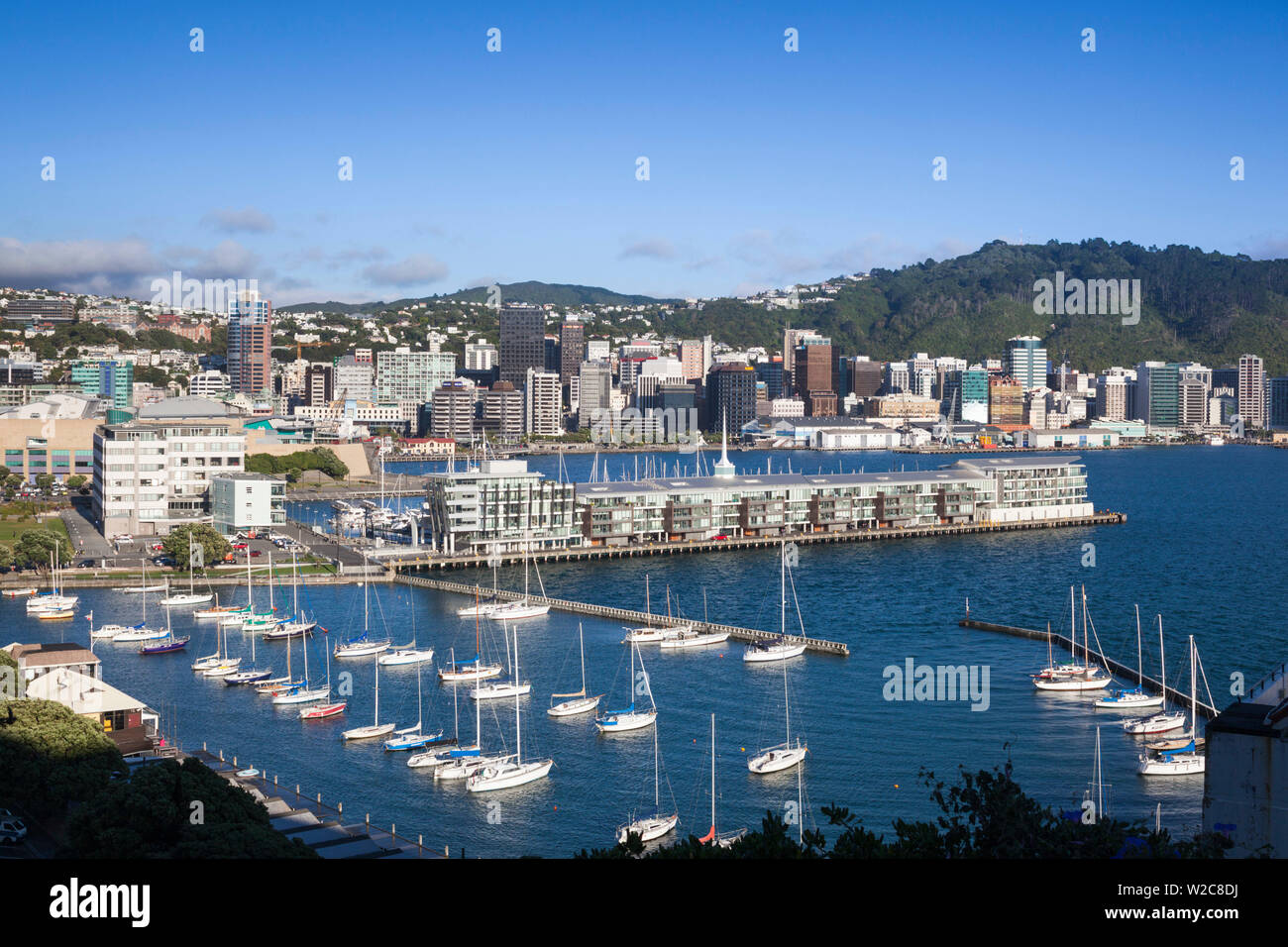 Nouvelle Zélande, île du Nord, Wellington, augmentation de la ville de Mt. Victoria, l'aube Banque D'Images