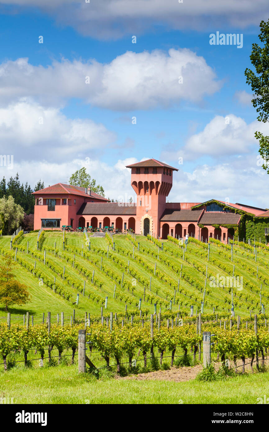 Highfield Vignoble, Renwick, Blenheim, Marlborough, île du Sud, Nouvelle-Zélande Banque D'Images