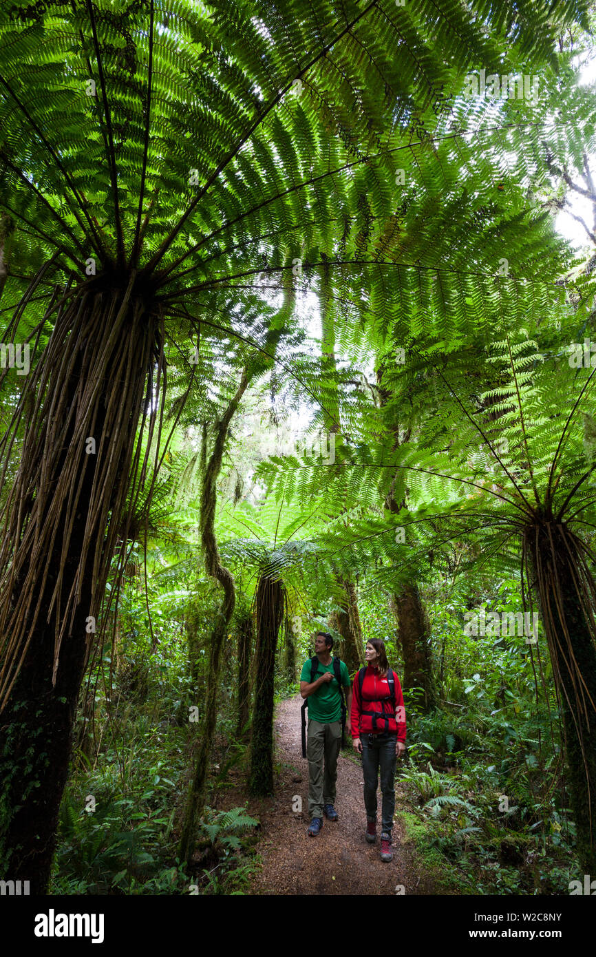 Couple marchant dans un parc national, Karamea, West Coast, South Island, New Zealand Banque D'Images
