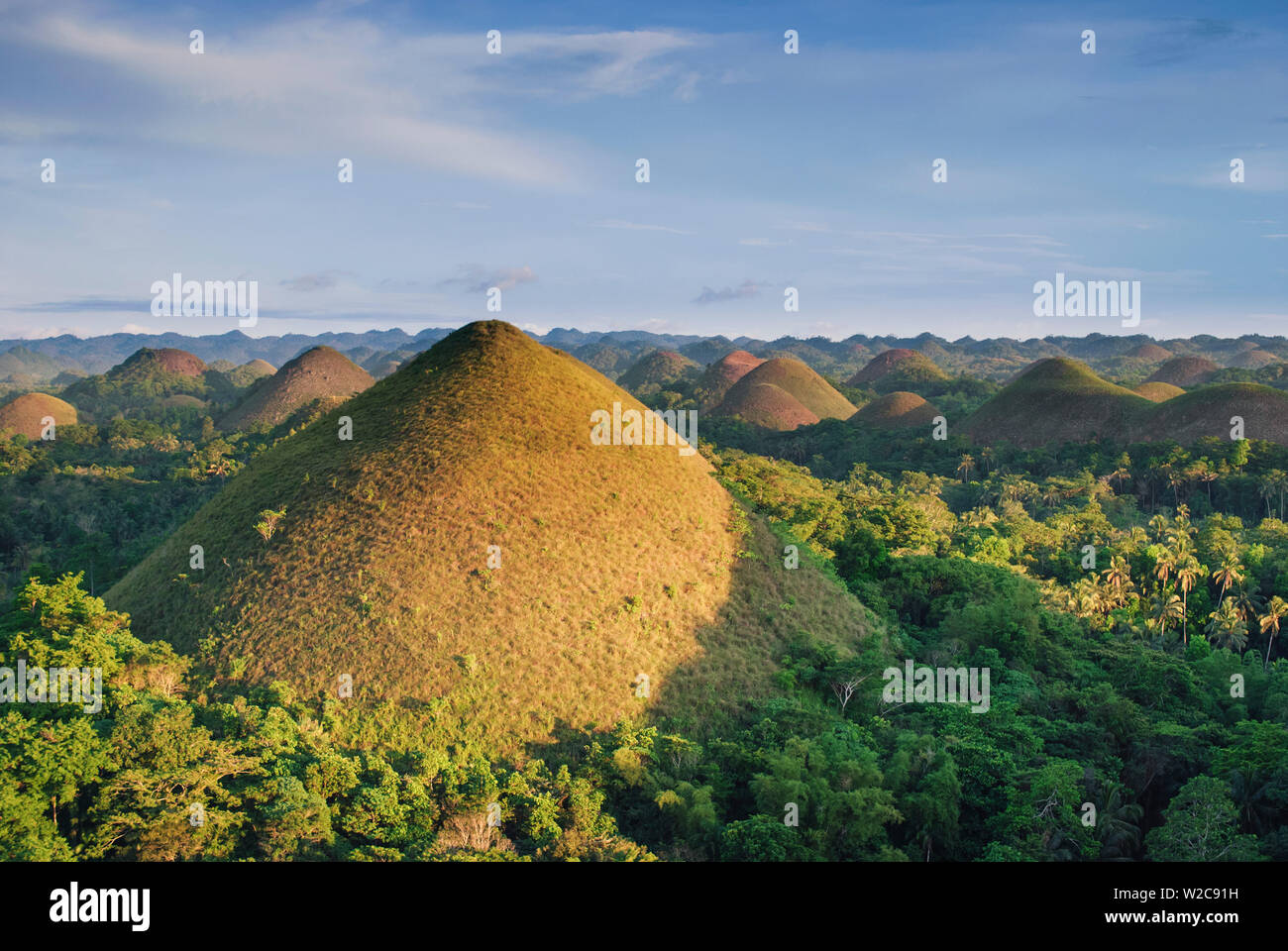 Philippines, Bohol, collines de chocolat Banque D'Images