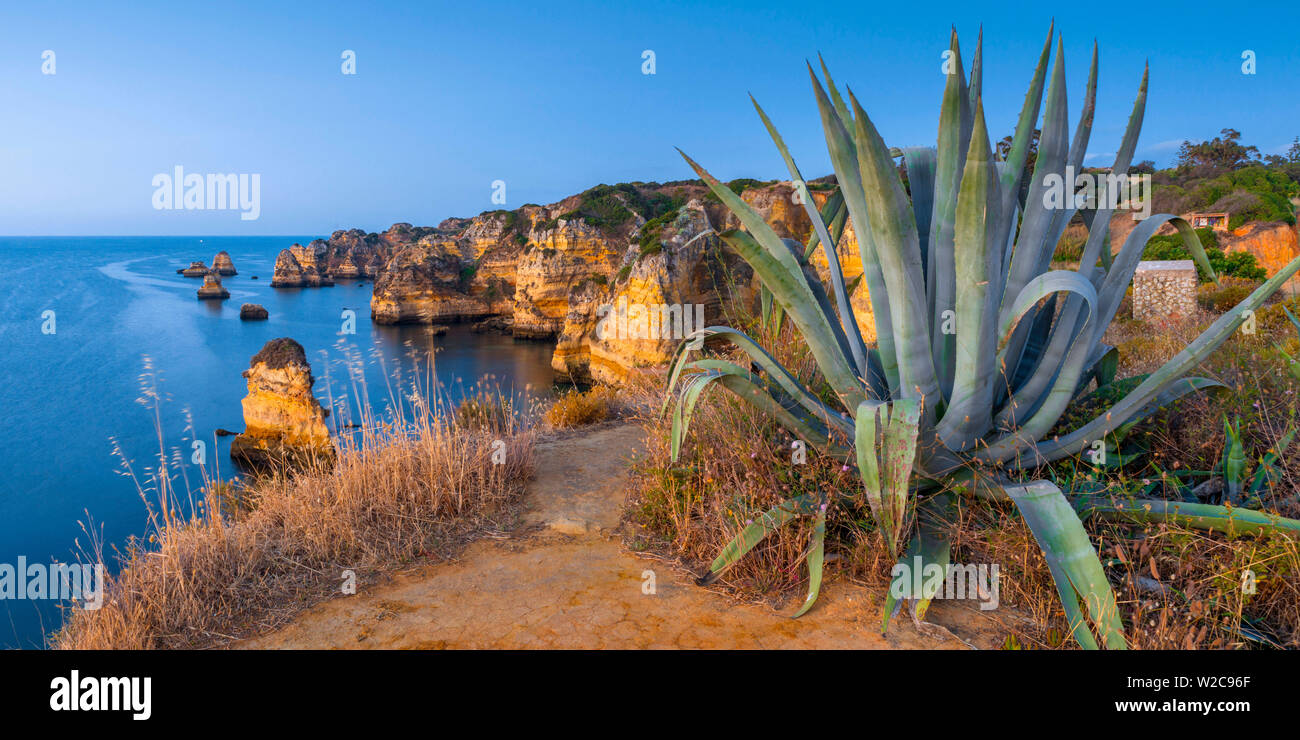 Portugal, Algarve, Lagos, la plage de Dona Ana (Praia Dona Ana), l'Agave Banque D'Images