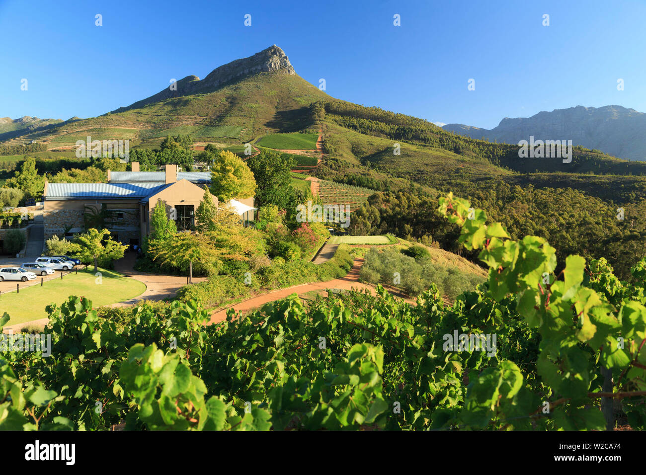 L'Afrique du Sud, Western Cape, Stellenbosch, Tokara Wine Estate Banque D'Images