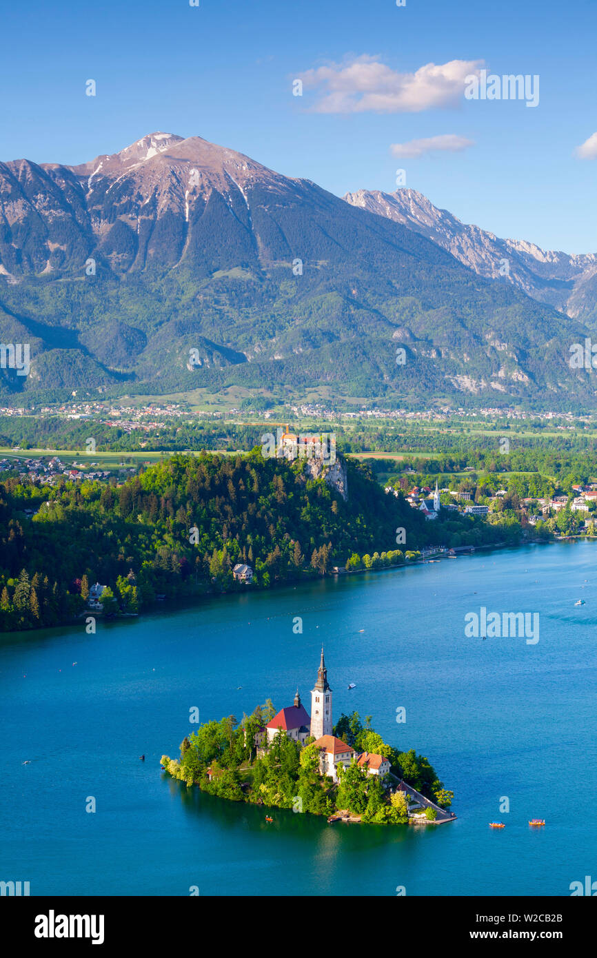Vue sur l'île de Bled élevée avec l'église de l'Assomption, le lac de Bled, Bled, Haute-Carniole, Alpes Juliennes, en Slovénie Banque D'Images