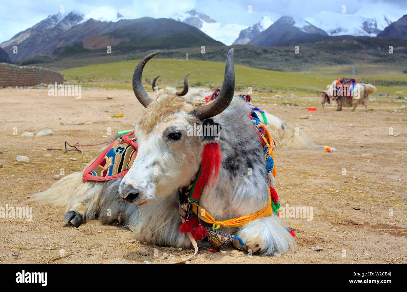 Paysage de montagne, Préfecture de Lhassa, Tibet, Chine Banque D'Images