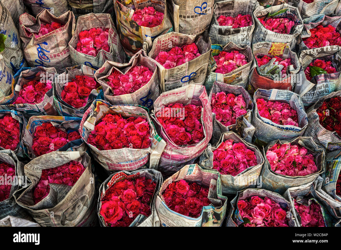 Roses pour la vente, marché aux fleurs, nr Chinatown, Bangkok, Thaïlande Banque D'Images