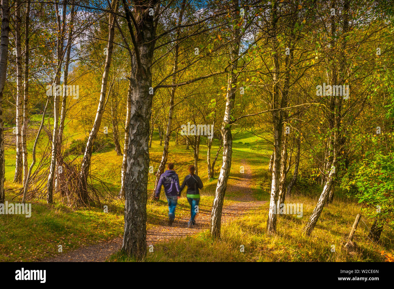 Royaume-uni, Angleterre, Gloucestershire, forêt de Dean Banque D'Images