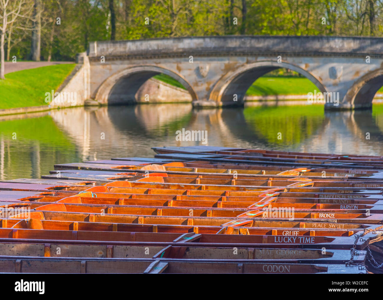 Royaume-uni, Angleterre, Cambridge, Cambridgeshire, le dos, rivière Cam Banque D'Images