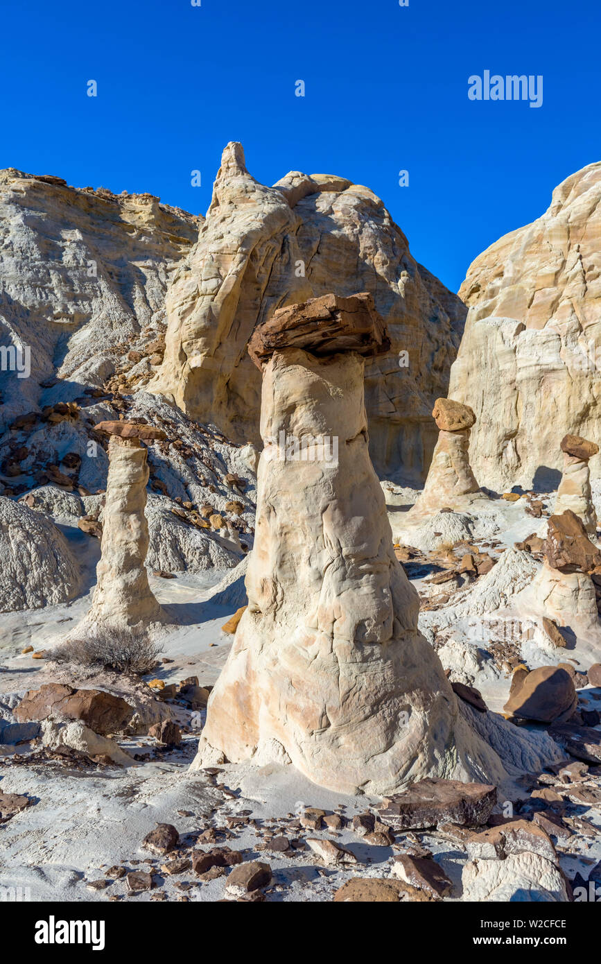 USA, Utah, Grand Staircase Escalante National Monument, l'Toadstools Banque D'Images