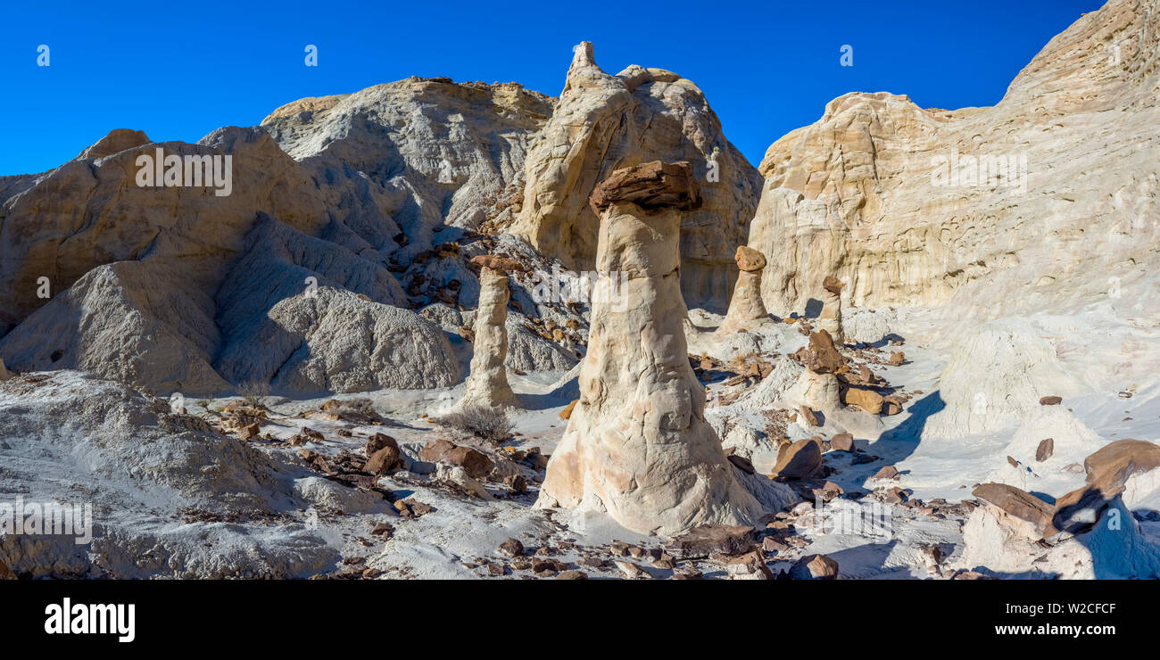 USA, Utah, Grand Staircase Escalante National Monument, l'Toadstools Banque D'Images