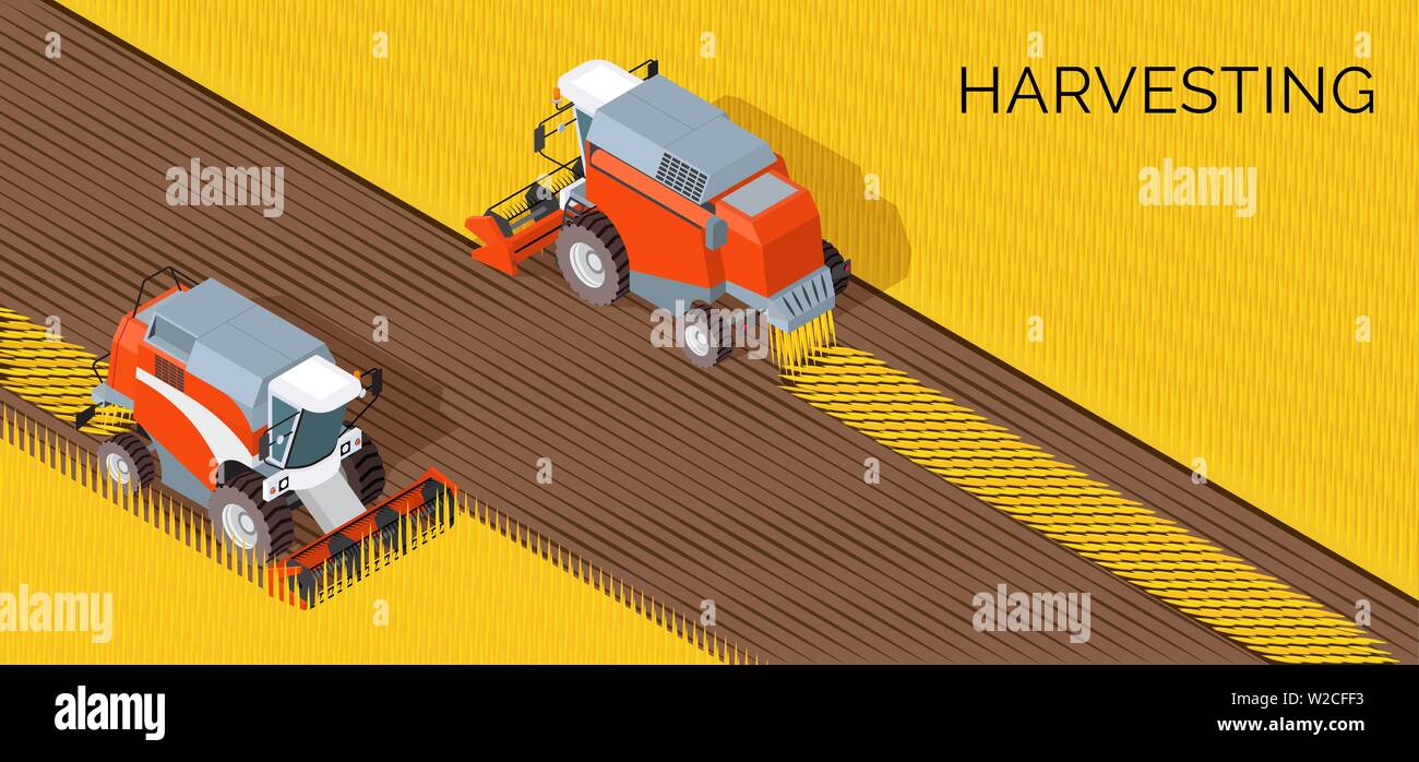 Concept de récolte, combiner, de l'agriculture sur terrain avec récolte du grain Illustration de Vecteur