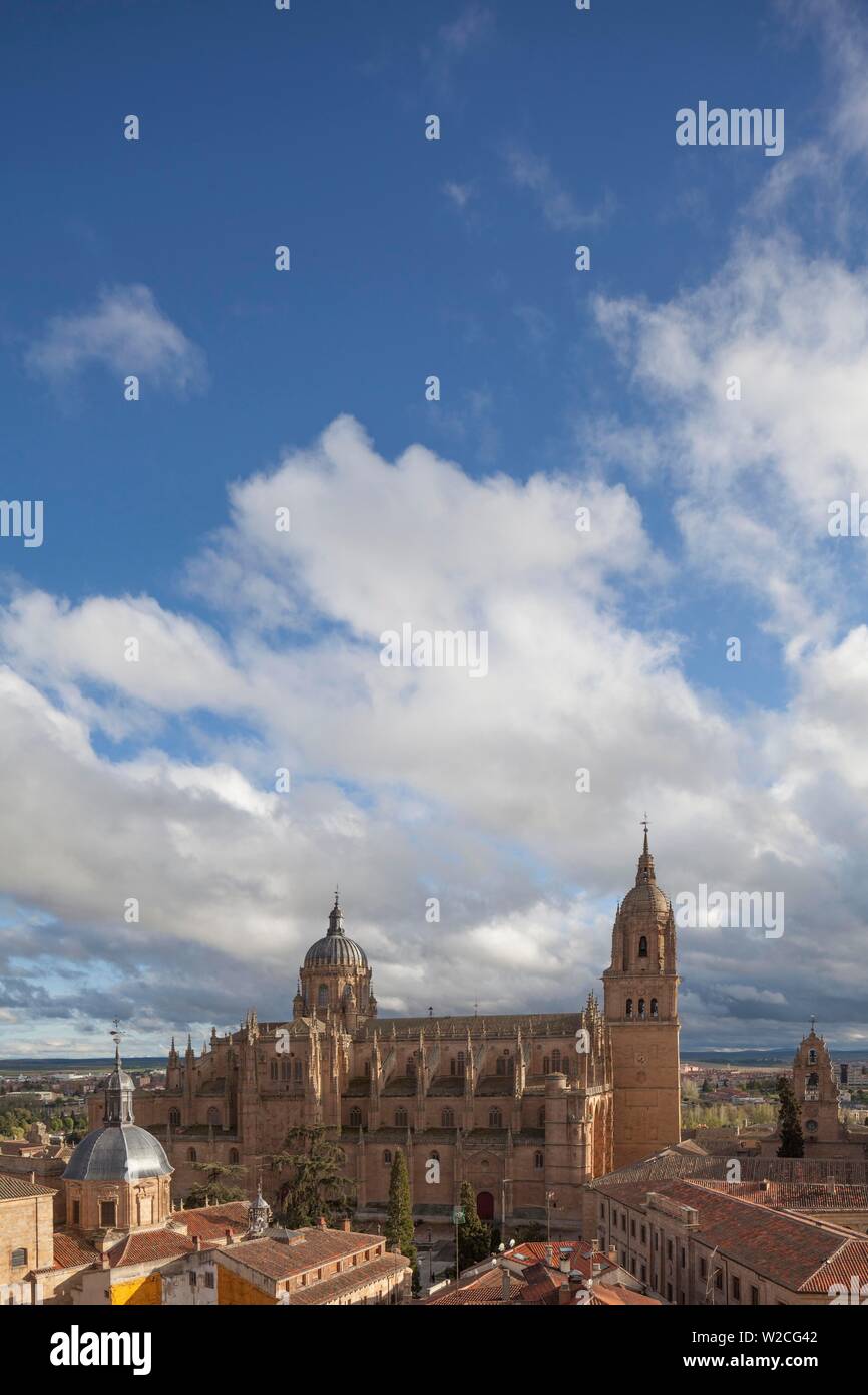 Ancienne et Nouvelle Cathédrale, Salamanca, Castilla y León, Espagne Banque D'Images