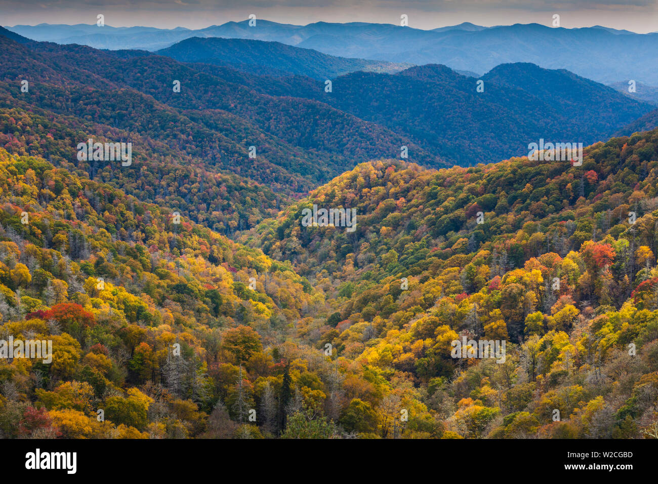 USA, Caroline du Nord, parc national des Great Smoky Mountains, automne panorama à partir de Newfound Gap Banque D'Images