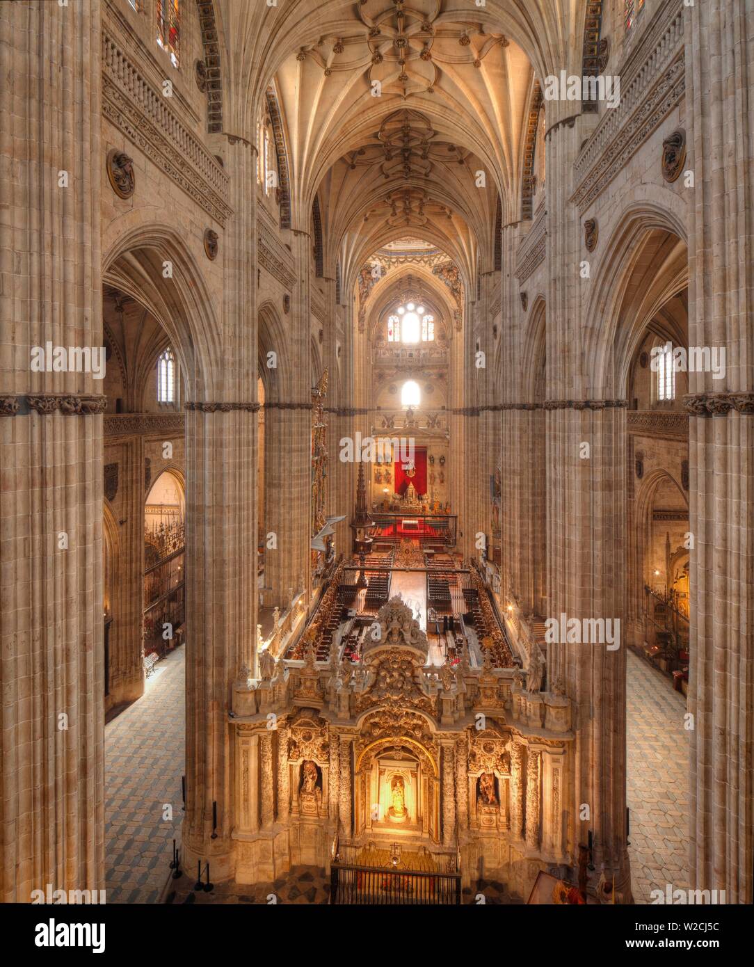 Intérieur de la nouvelle Cathédrale, Salamanca, Castilla y León, Espagne Banque D'Images