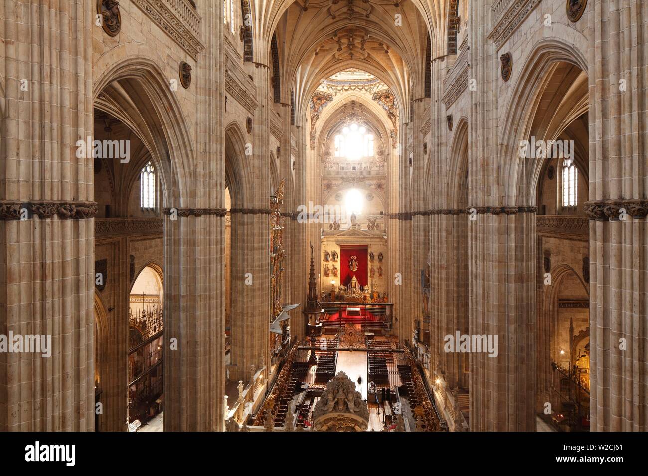 Intérieur de la nouvelle Cathédrale, Salamanca, Castilla y León, Espagne Banque D'Images