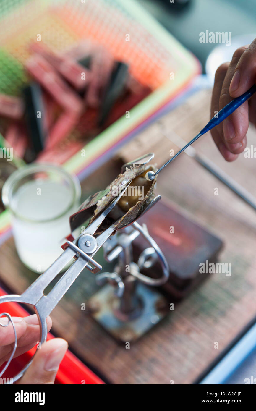 Vietnam, la baie d'Halong, flottant de culture de semences de ferme, avec l'huître Banque D'Images