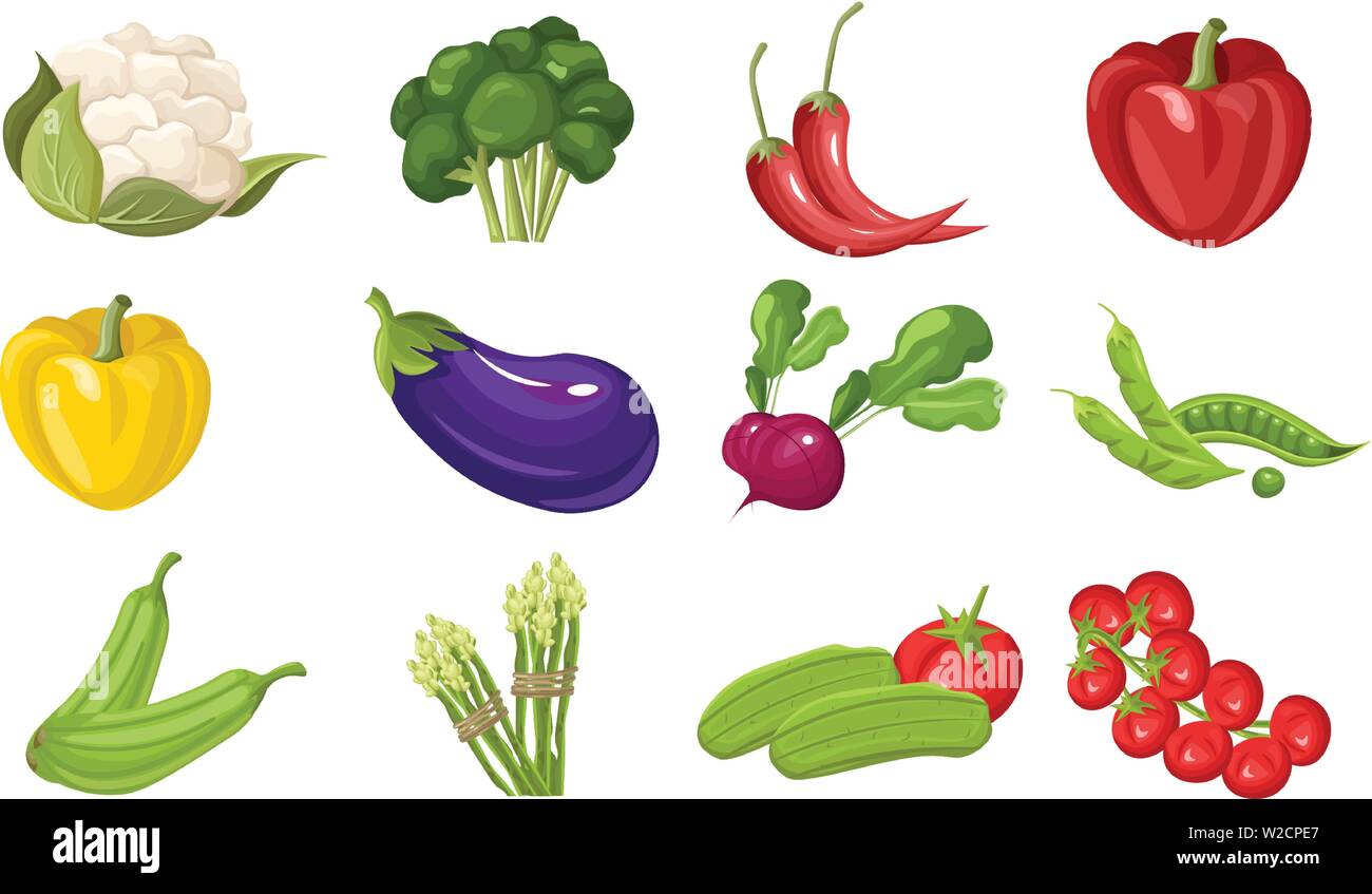 Les légumes frais de la ferme Vector set. Boutique Magasin affiche des illustrations détaillées d'épicerie Illustration de Vecteur