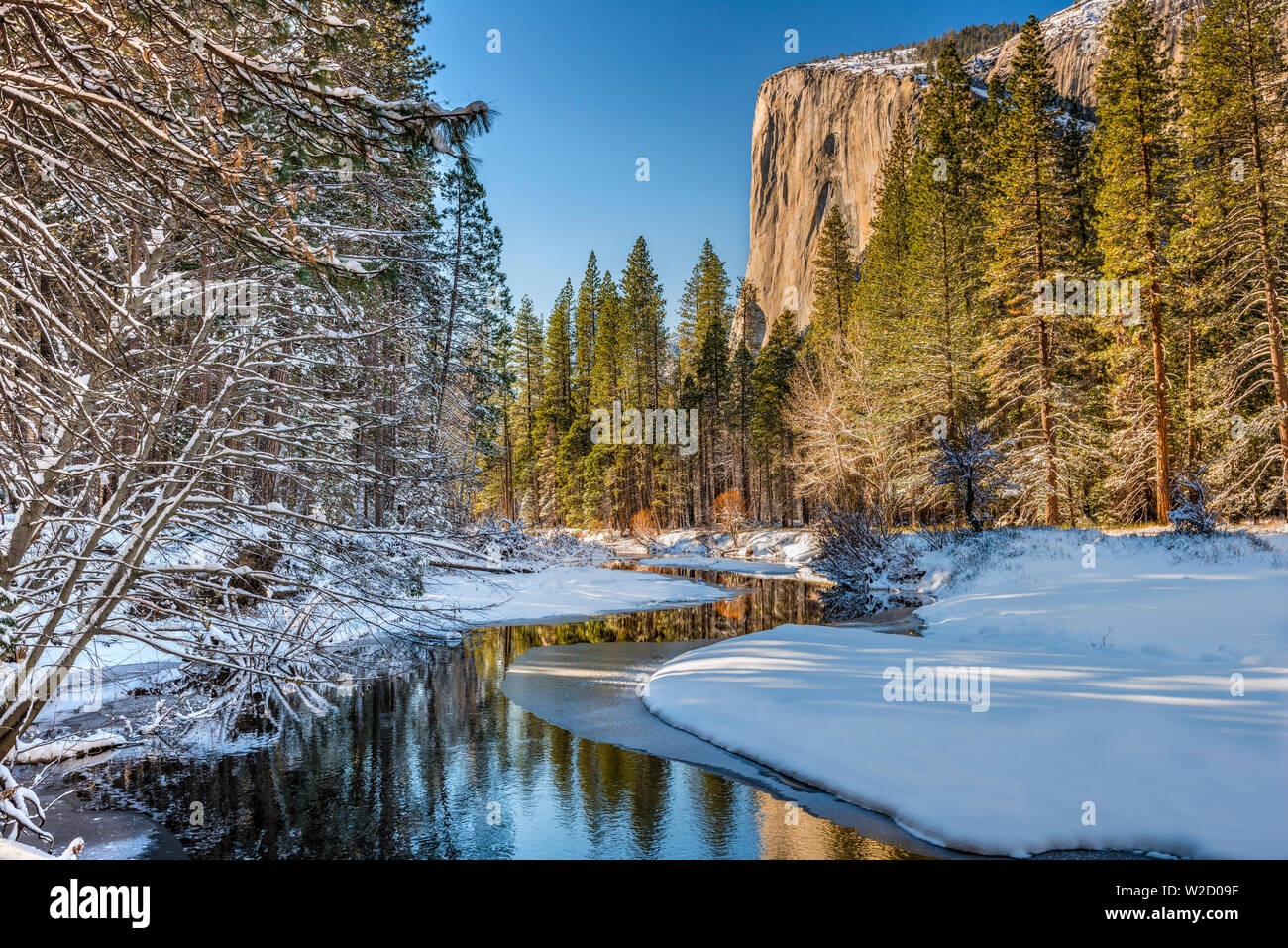 Paysage de neige d'hiver avec El Capitan mountain à l'avant-plan, Yosemite National Park, California, USA Banque D'Images