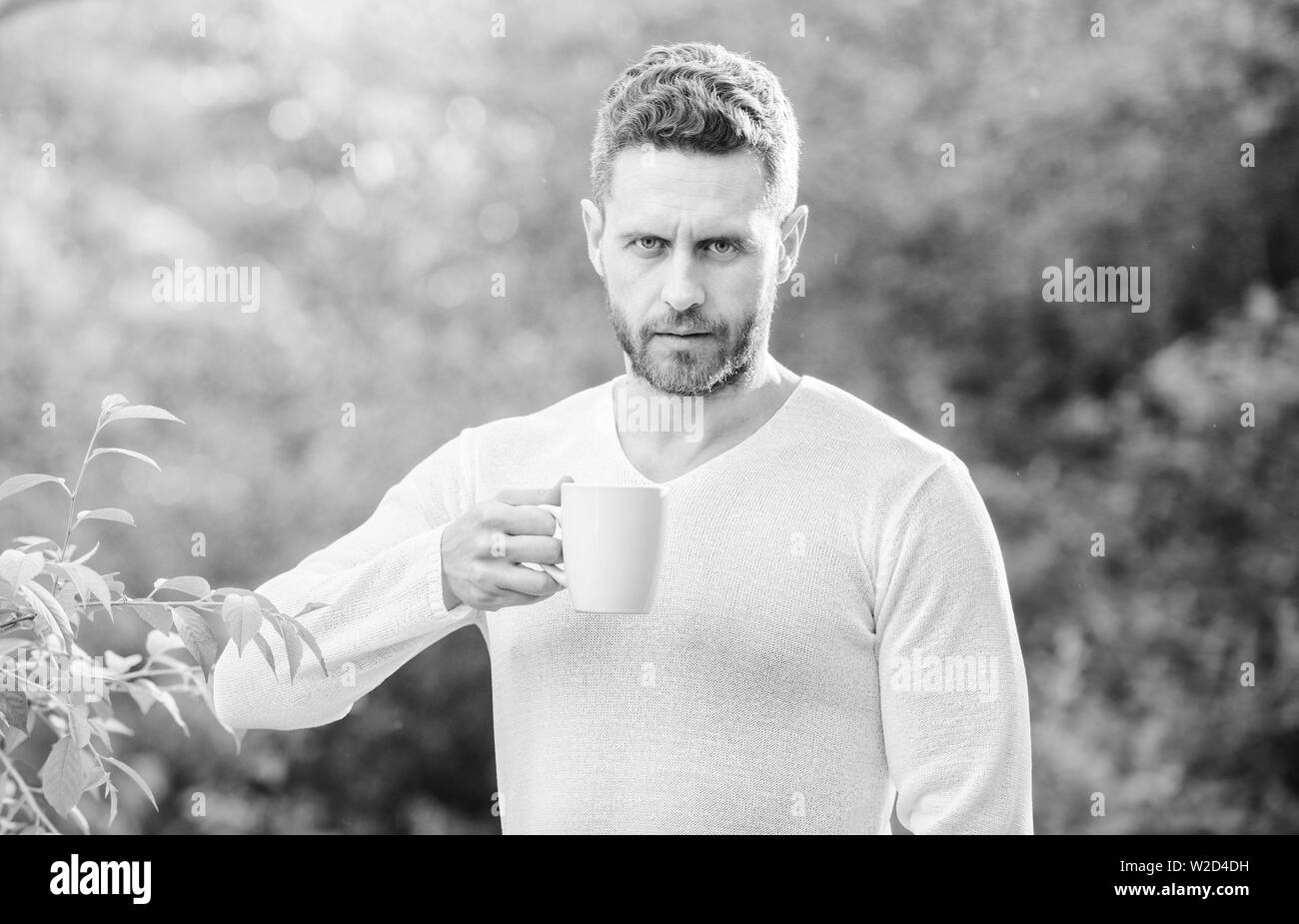 Je préfère le thé vert. Boisson rafraîchissante. Plateau barbu homme agriculteur tenir mug fond nature. Le thé vert contient des composés bioactifs qui améliorent la santé. Toute la feuille de thé. Boisson naturelle. Mode de vie sain. Banque D'Images