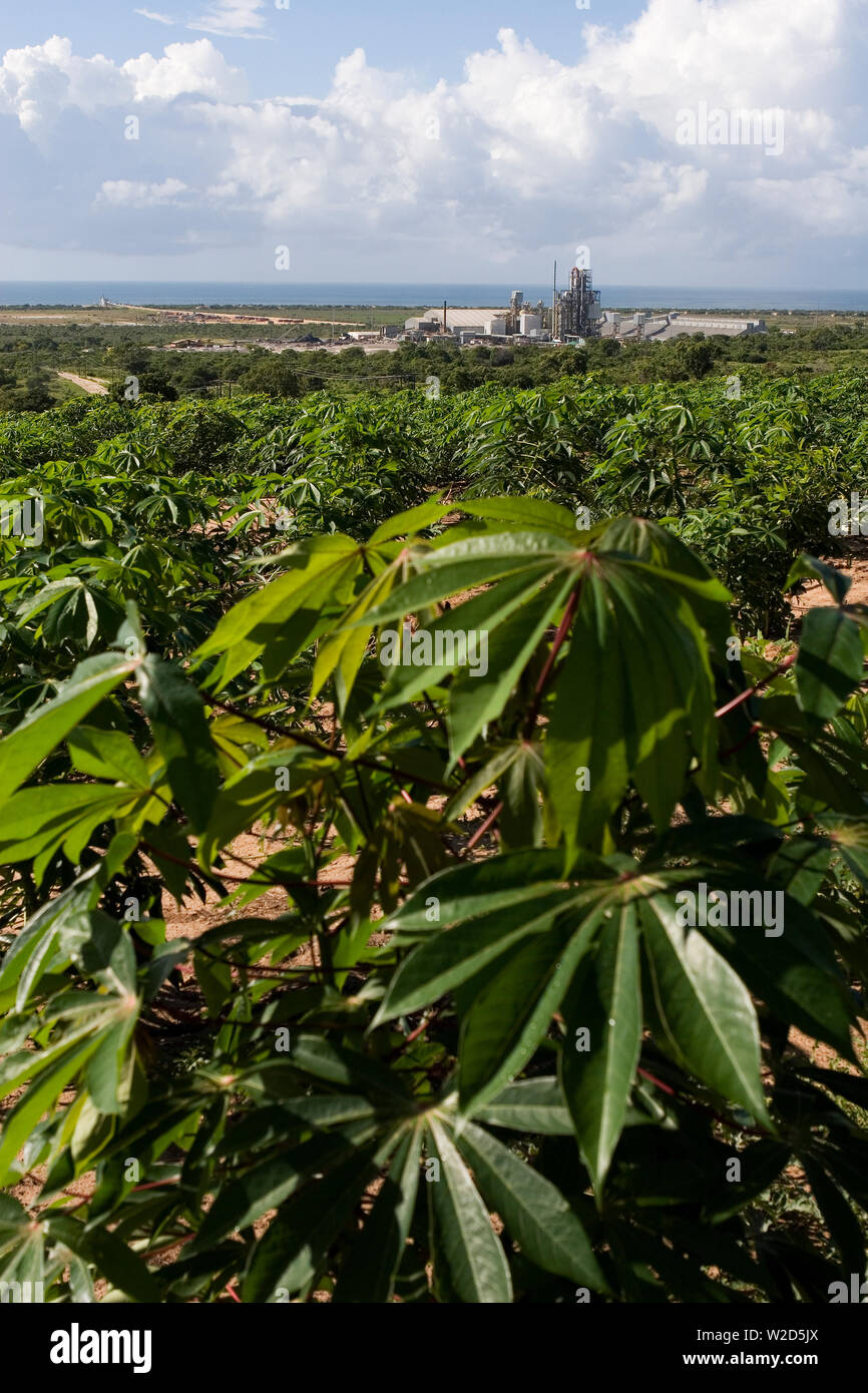 Exploitation minière, gestion et transport de sables minéraux en titane. De la remise en état des terres agricoles à l'usine de transformation, en passant par les côtes et les océans, en passant par le convoyeur à jetée Banque D'Images