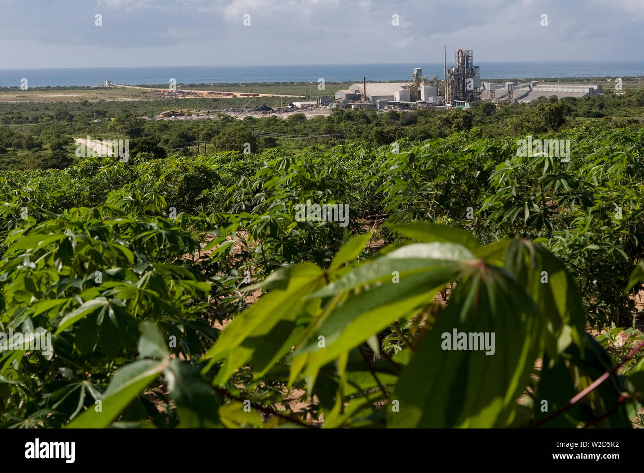 Exploitation minière, gestion et transport de sables minéraux en titane. De la remise en état des terres agricoles à l'usine de transformation, en passant par les côtes et les océans, en passant par le convoyeur à jetée Banque D'Images