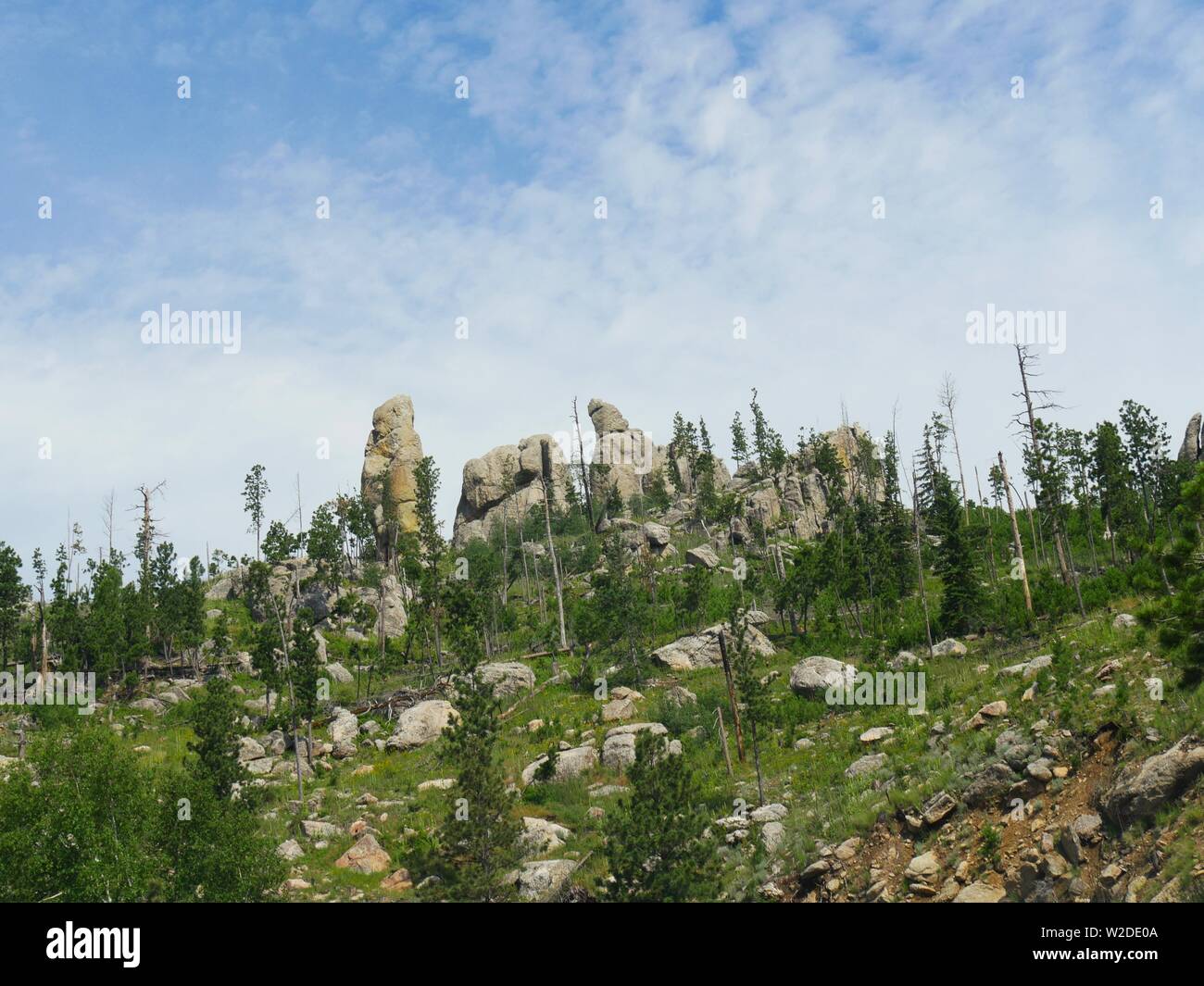 Tourné vers le haut des formations de roche de granit spectaculaires qui sort vers le ciel, l'une des meilleures attractions à Needles Highway dans le Dakota du Sud. Banque D'Images