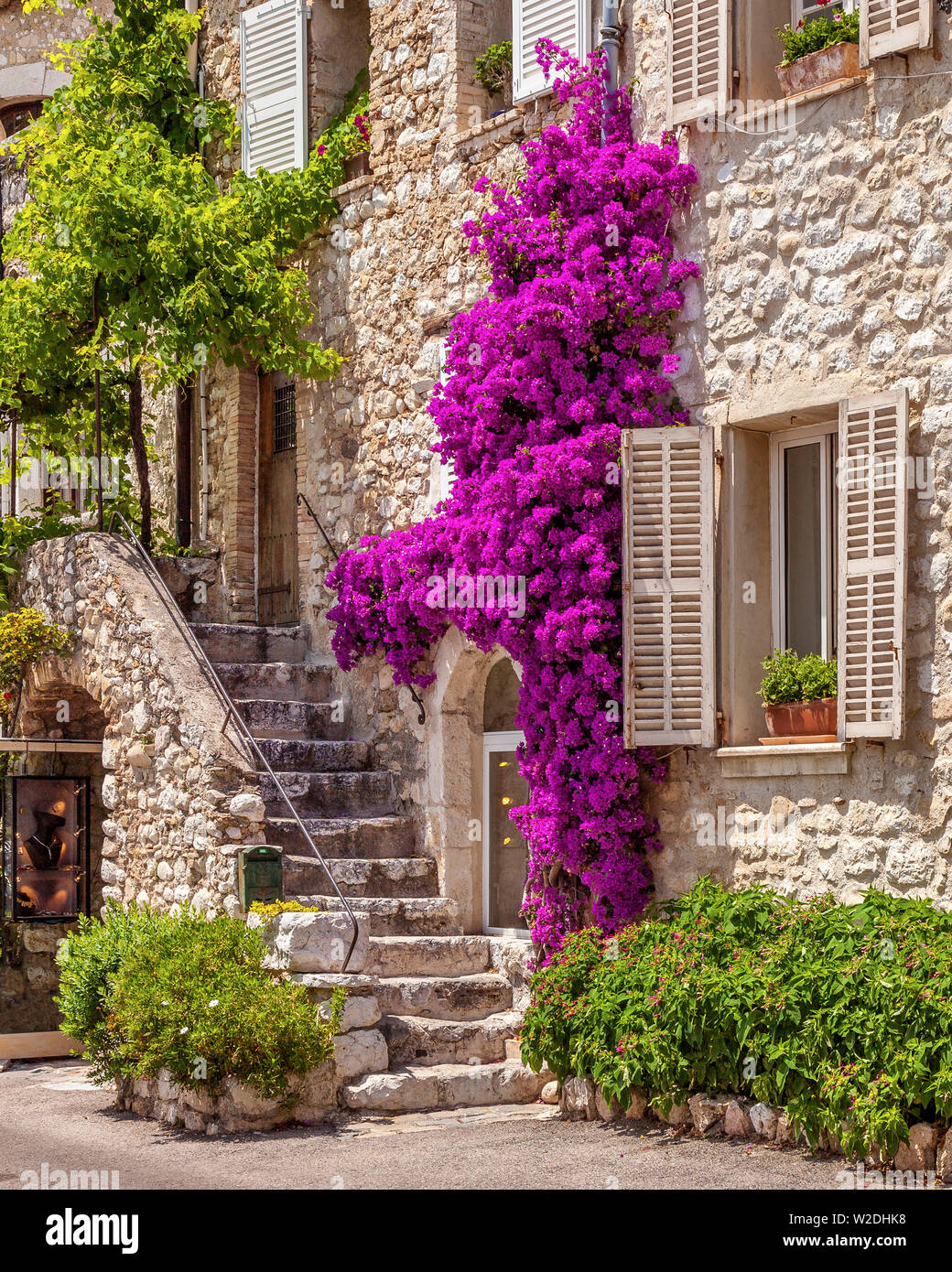 Bougainvilliers en fleurs, escaliers en pierre et l'entrée à la maison médiévale à St Paul de Vence, Provence, France Banque D'Images