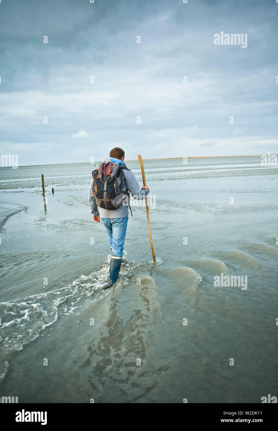 Guide de "La maison de la baie" aller à l'Hermelles bancs de sable au large de la ville de Cherrueix (Bretagne, nord-ouest de la France), dans la baie du Mont Sa Banque D'Images