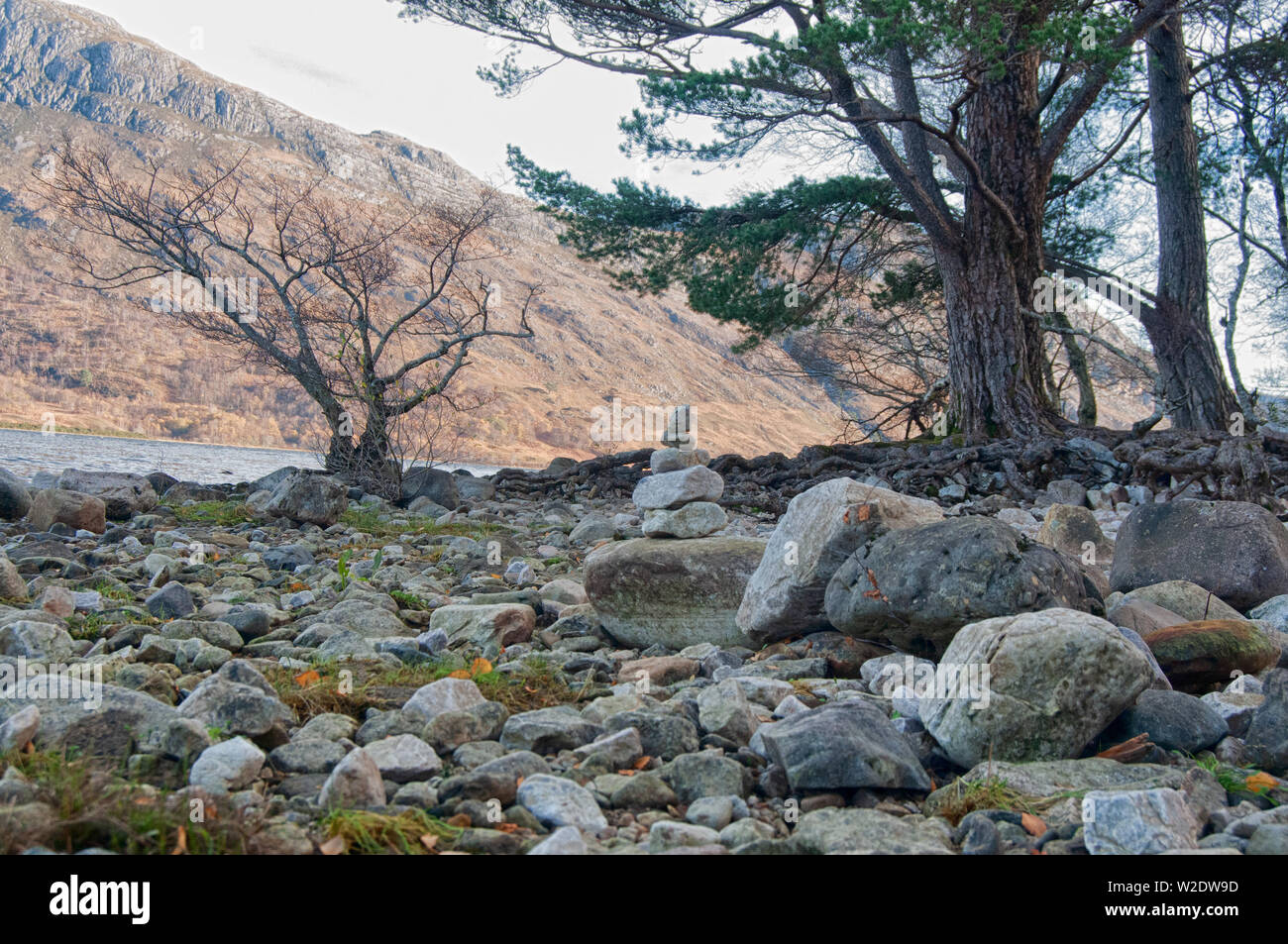 Du côté du Loch en Ecosse Banque D'Images