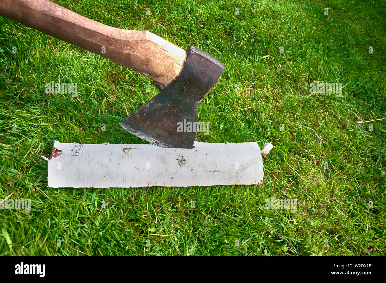 Outils de jardin ax coincé dans une pièce de bois de bouleau vue latérale Banque D'Images