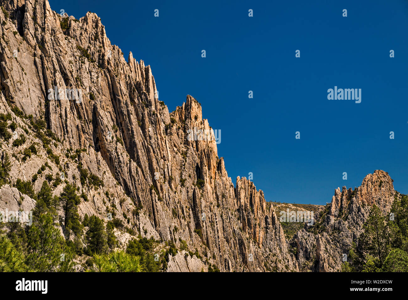 De Montoro Organos, formations de roche karstique, la Route silencieuse, près de Villarluengo, Maestrat (Maestrazgo) région, province de Teruel, Aragon, Espagne Banque D'Images