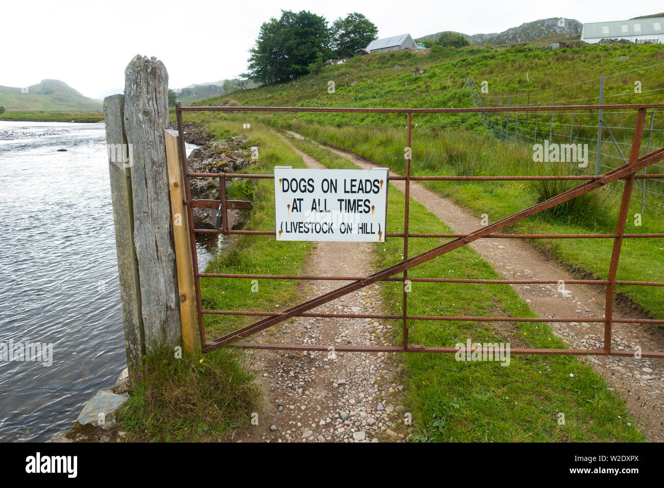 Vieille porte de fer dans les Highlands écossais avec chien minimal, Wester Ross, Highland, Scotland, UK. Banque D'Images