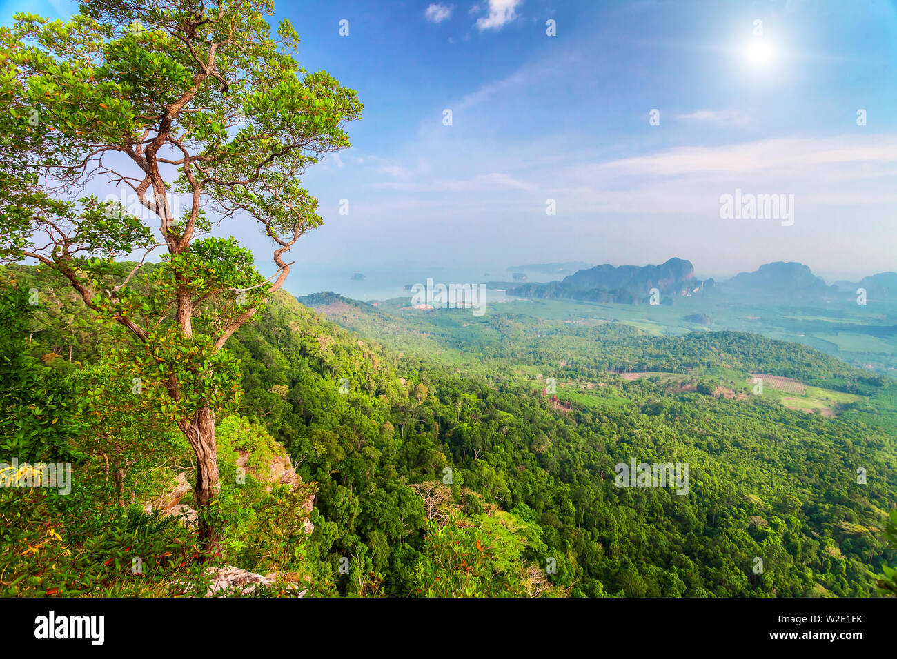 Beau paysage avec des arbres verts sur les montagnes, rochers et soleil en Thaïlande Banque D'Images