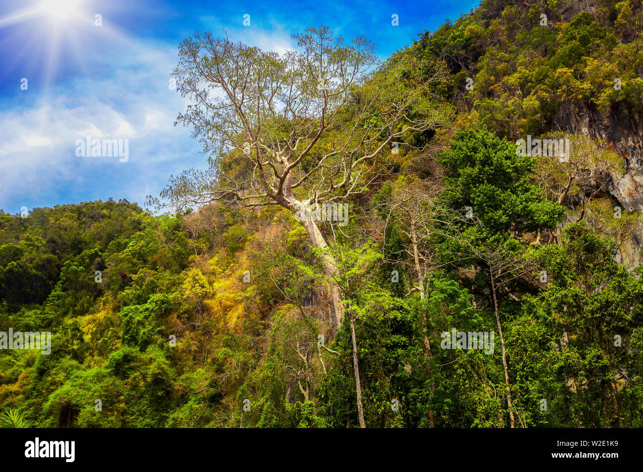 Beau paysage avec des arbres verts sur les montagnes, rochers et soleil en Thaïlande Banque D'Images