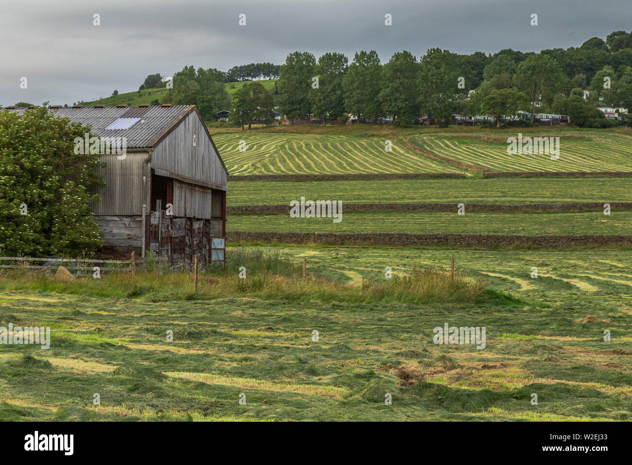 Une ferme du Yorkshire après la coupe d'herbe. Banque D'Images