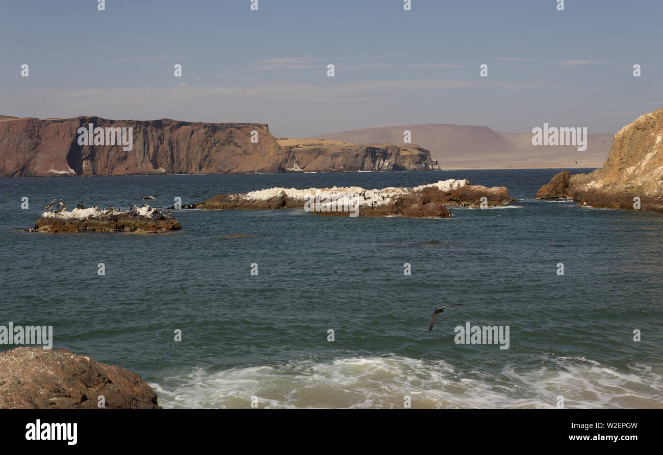 Vue sur la mer dans la réserve nationale de Paracas Banque D'Images